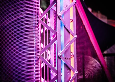 Polar Bear nice model pic