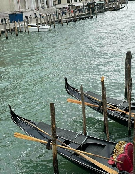 katefleur nude model galleries