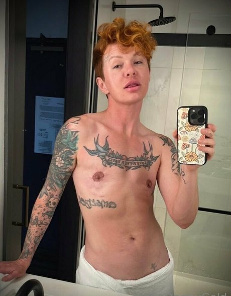 thedannygoldexperience free star archive