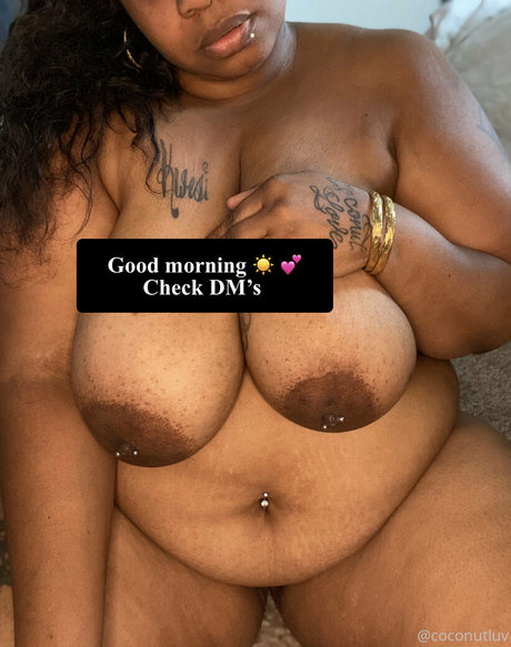 coconutluv exclusive pornstar gallery