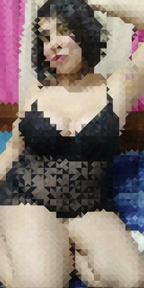 lycalopex ignis top star photo