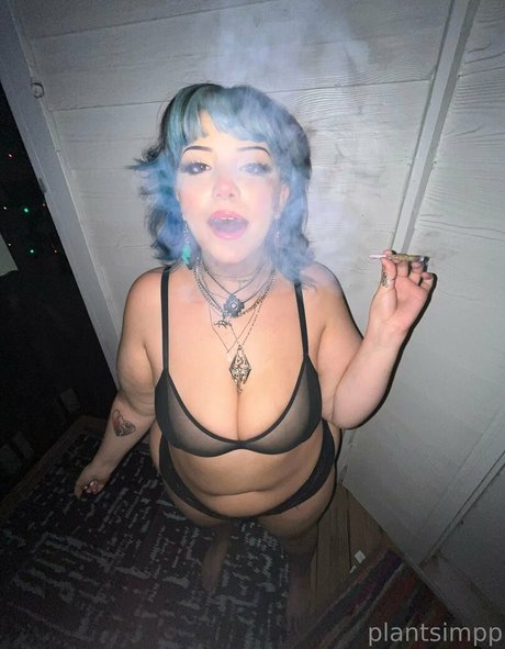 plantsimpp star adult galleries