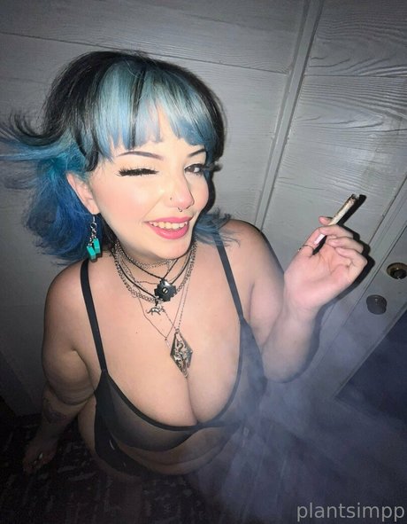 plantsimpp star exclusive archive