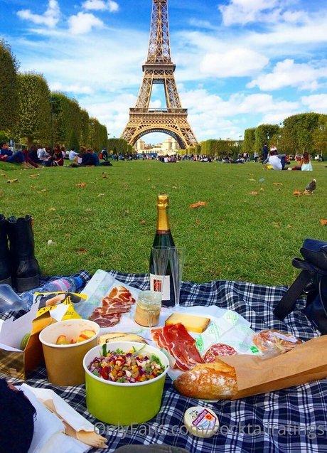 torgalore star nice picture