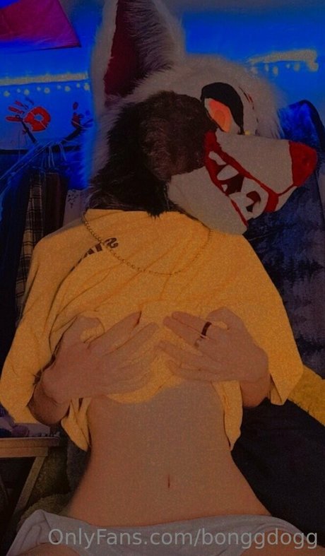 Bonggdogg perfect pornstar archive