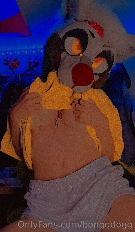 Bonggdogg pornstar best photos