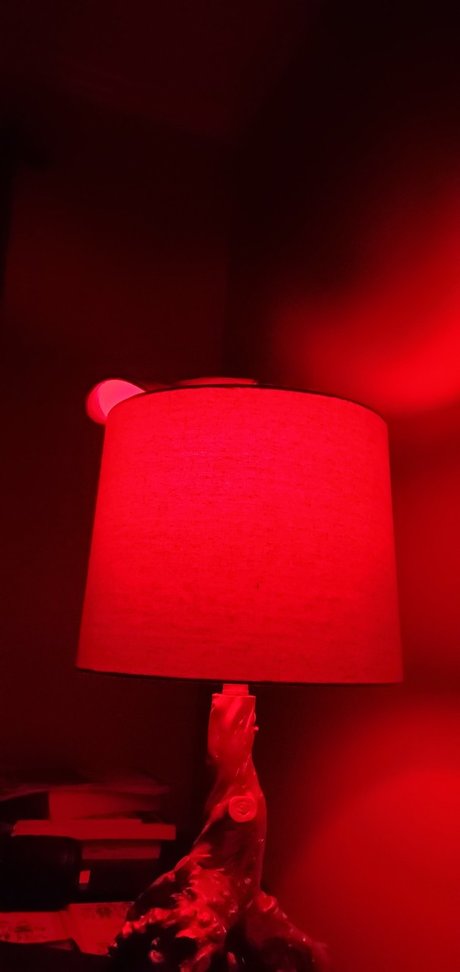 Dick Chuck pornstar adult photos