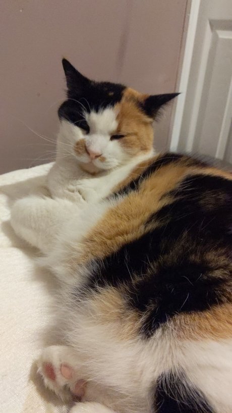 accidental creampie onlyfans porn pic