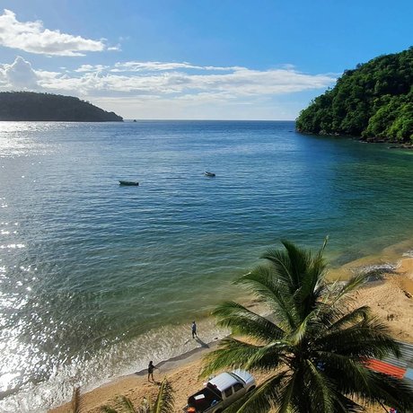 That Crypto Fella model nude photos