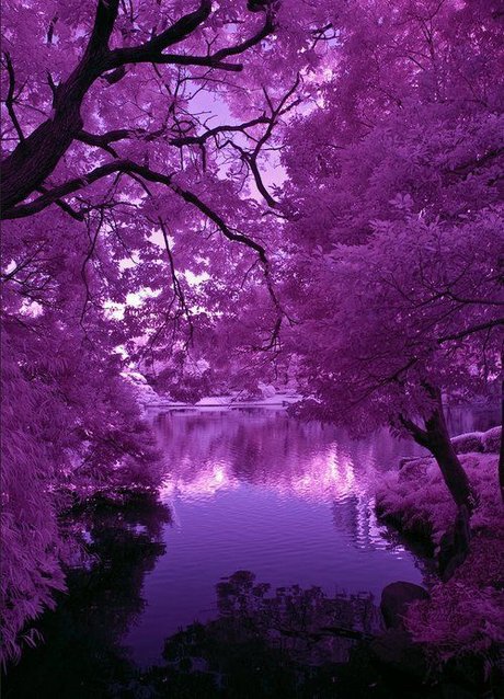 Prince Mikail free model archive