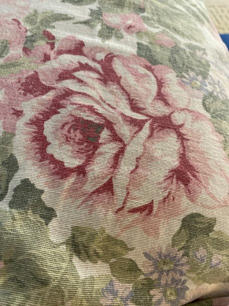 u25483124 model beautiful galleries