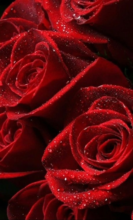 OfficialPrettyRed perfect star pic