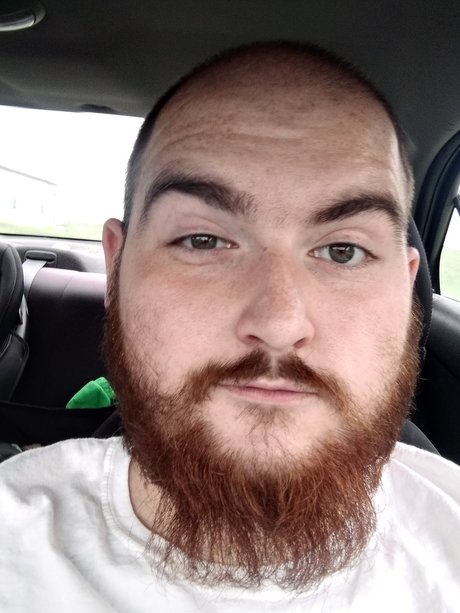 Pumbaa star best images