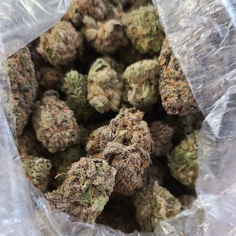 Crunchtyme Ent_ porn model pic