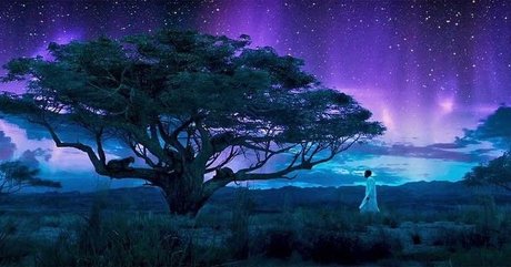 PrynceCharmingg beautiful pornstar galleries