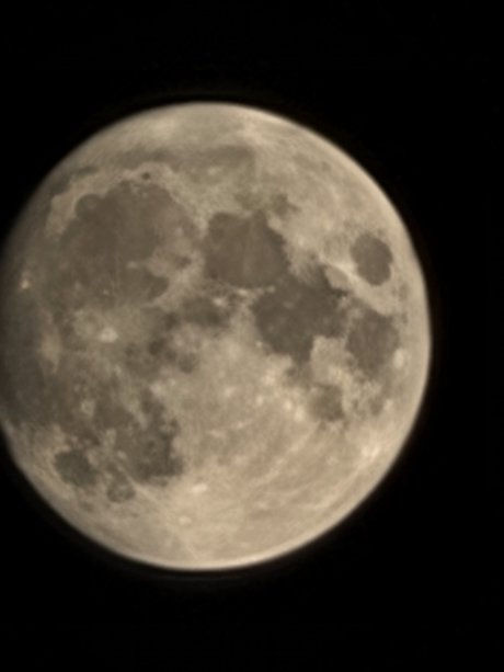 Prove it model exclusive photo