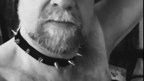 ProNaughty pornstar nude picture