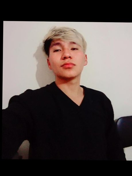 DAVID TRS perfect model galleries