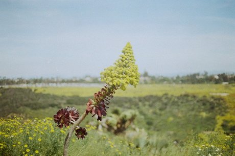 Hot Hen Woman pornstar hd picture