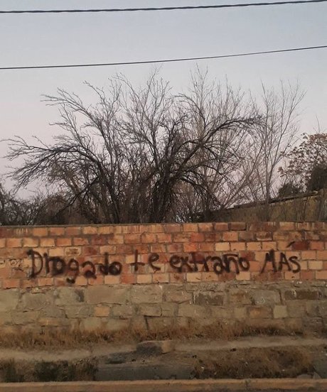 dnlxero hd star photos