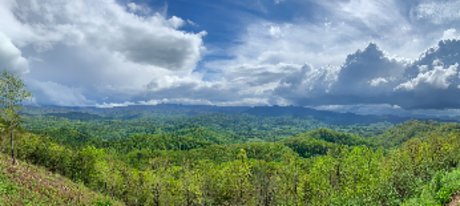 Felix Quartz erotic model pic