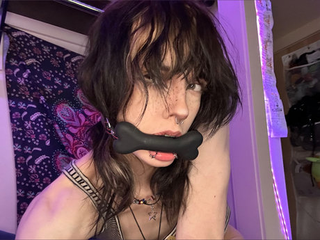 pvppycvnt star gallery