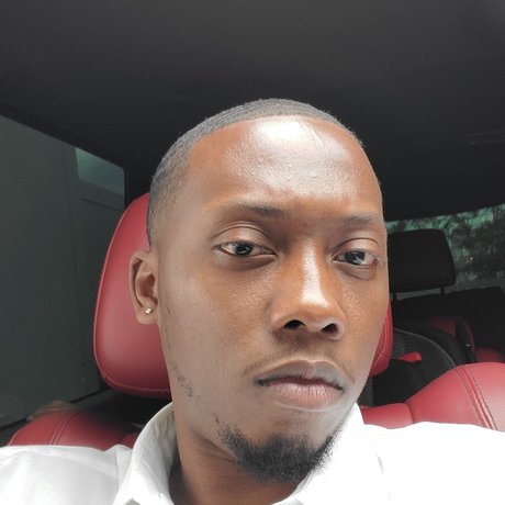 Matt Robinson adult star img