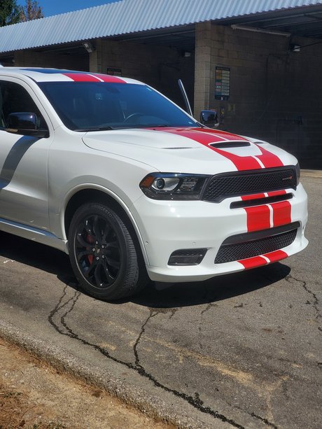 Matt Robinson model exclusive pic