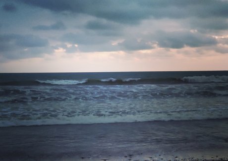 EdVera model free img