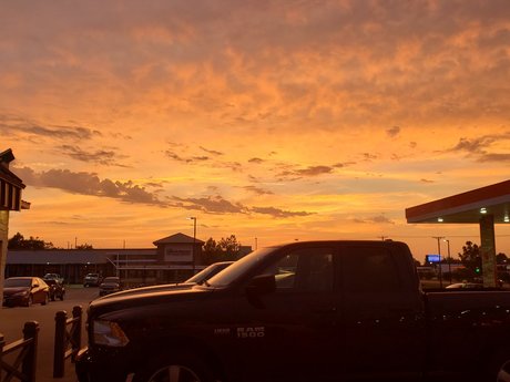 shemale anal onlyfans hot porn archive