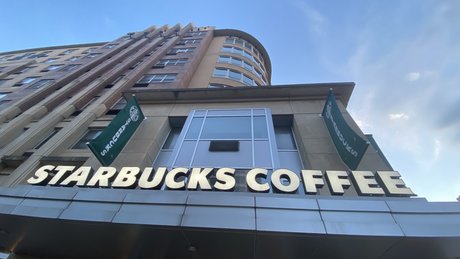 u6297307 star beautiful gallery