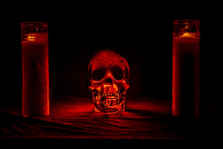 Detroitdogshit best model photo