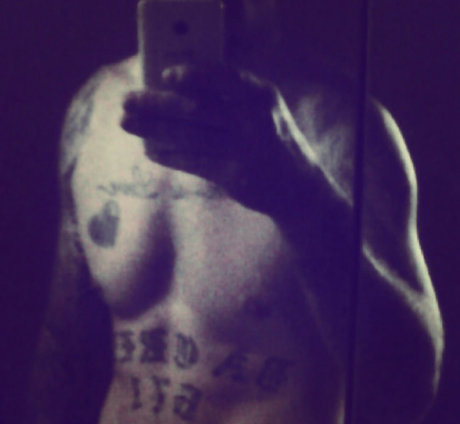 Donkey671 star picture