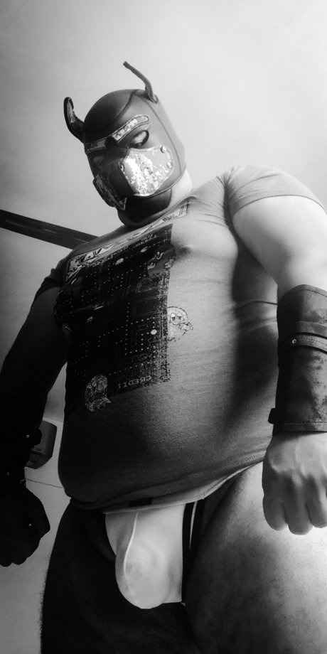 Duelcub high quality model picture