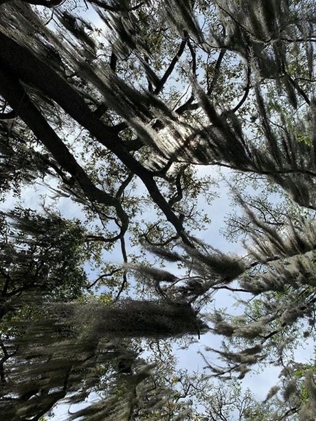 Rainah Morningstar exclusive model photos