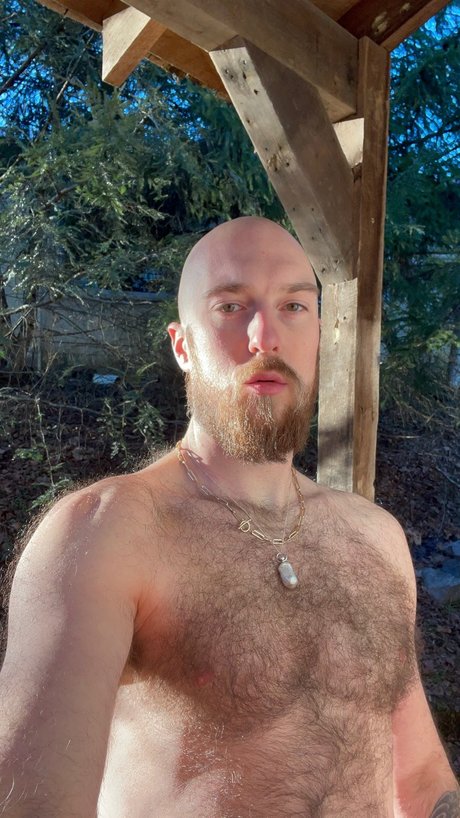 HouseHusband9000 star free galleries