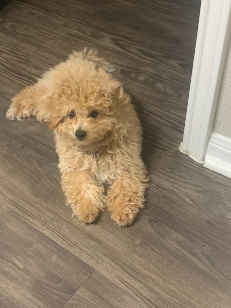 Fly man_ model nudes photos