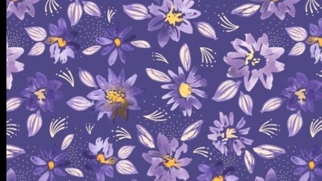 Feet of Daf_ sex model galleries