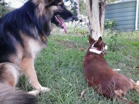 Kairu sex model picture