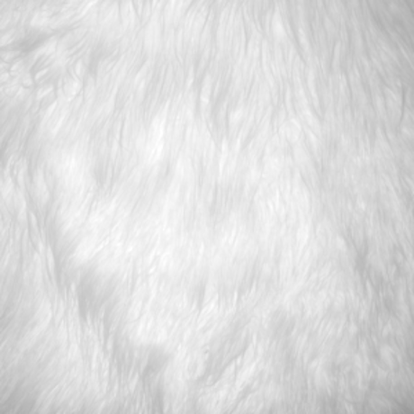 Raya_ xxx star gallery