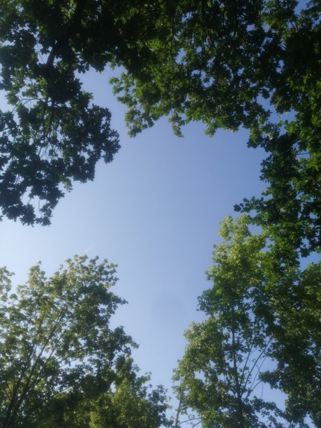 Ravenica perfect model pic