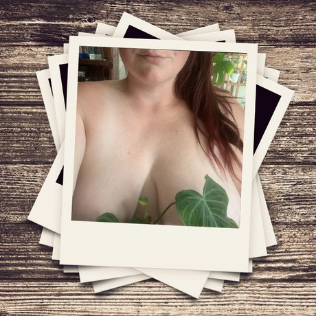 Raven Hill best star galleries