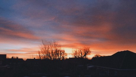 peter pan pornstar exclusive image