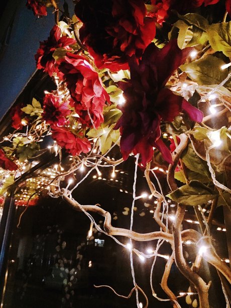 Raptor toes nudes model picture