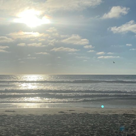 ricanheaux pornstar best images