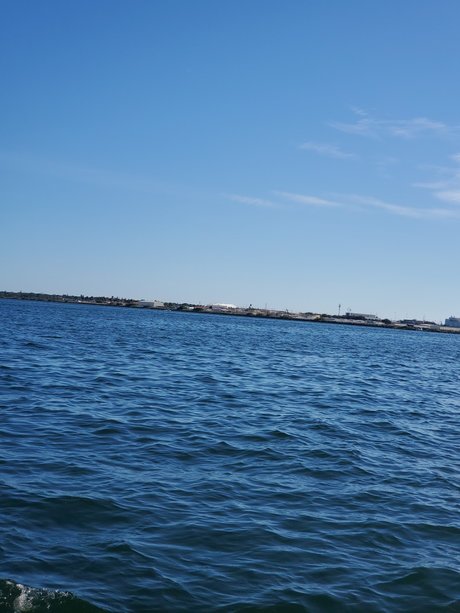 Bill that guy and oh my_ model art images