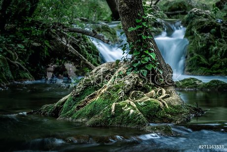 RedRhino high quality star pics