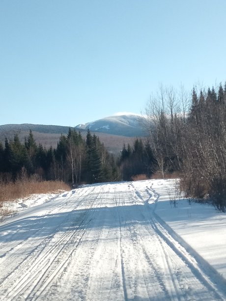 Rhemm pretty star archive