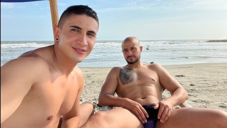 HA LO_ model pretty archive