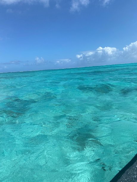 AndreaR model porn galleries